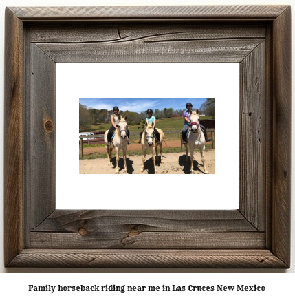 family horseback riding near me in Las Cruces, New Mexico